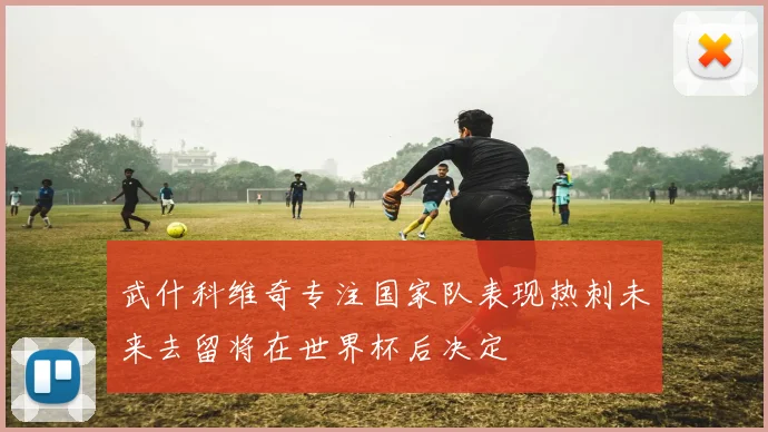 武什科维奇专注国家队表现热刺未来去留将在世界杯后决定